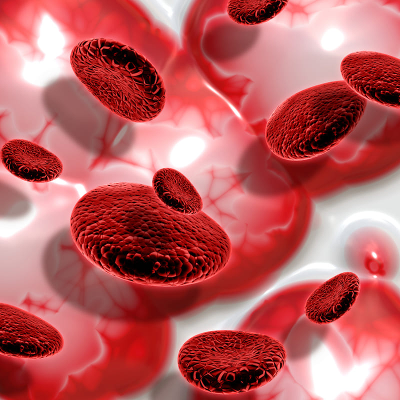 Blood circulation for prostate health and stamina