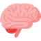 brain (1) brain (1)