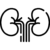 kidney kidney